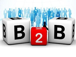 京東B2B電子銷售 為何能在阿里失手處成功？